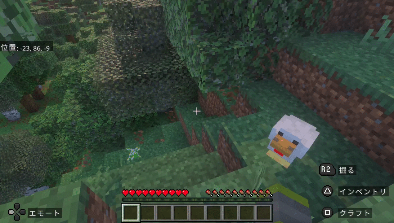 鳥だ!・・・飛行機だ!スーパーマンだ・・・?いや、鳥だった!