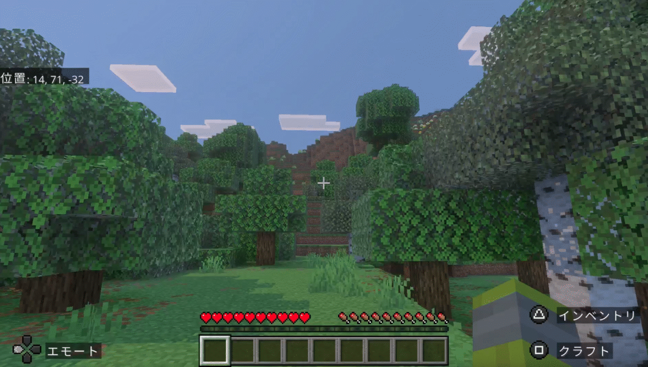 どこを散策しても、見渡す限りブロックの世界!