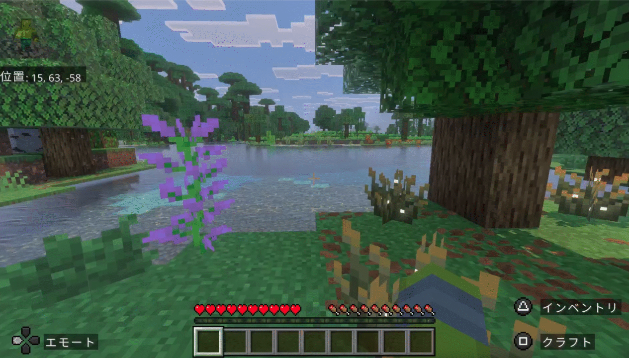 お?湖?透き通った水面が気持ちよさそう♩