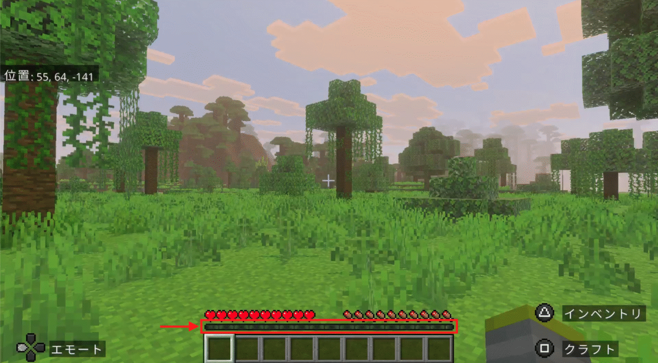 経験値ゲージは経験値が入ると緑色になるよ！