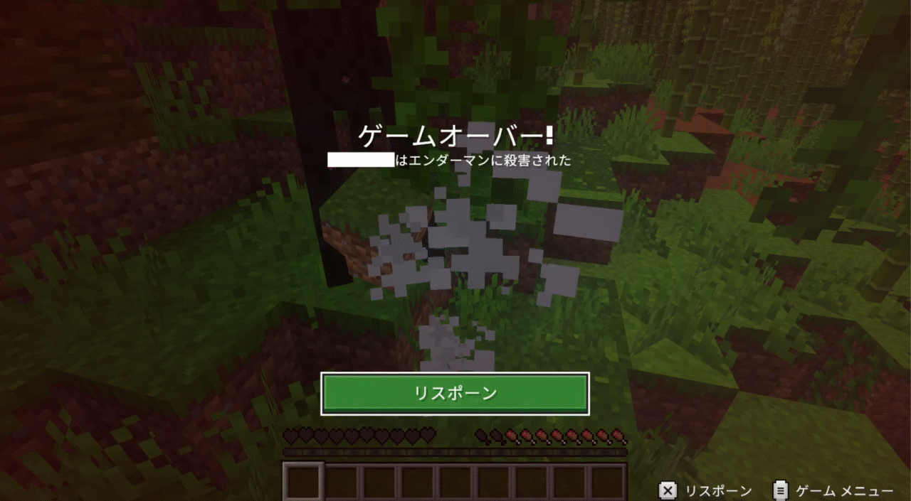 残念!レニーはエンダーマンに、超絶痛いゲンコツをされてゲームオーバーになった!