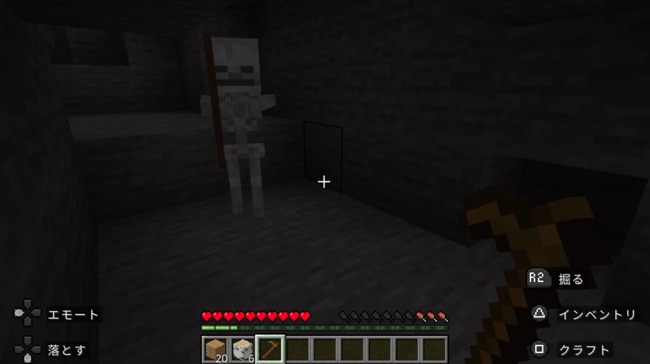 わあ・・・あれはスケルトン!?