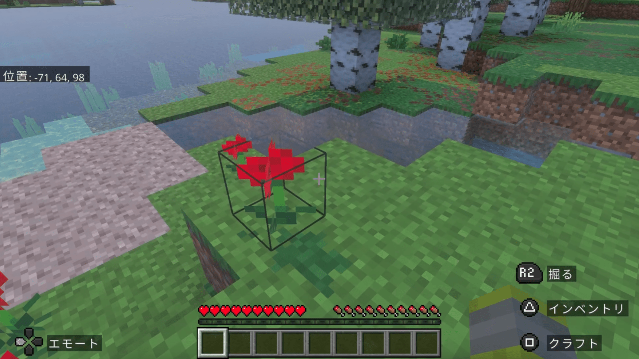 サムは赤い花を見つけた!