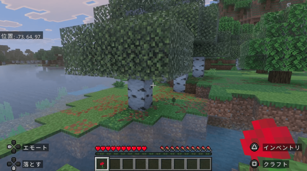 手に持った花を眺めながら、今は会えないママに想いをはせるサム