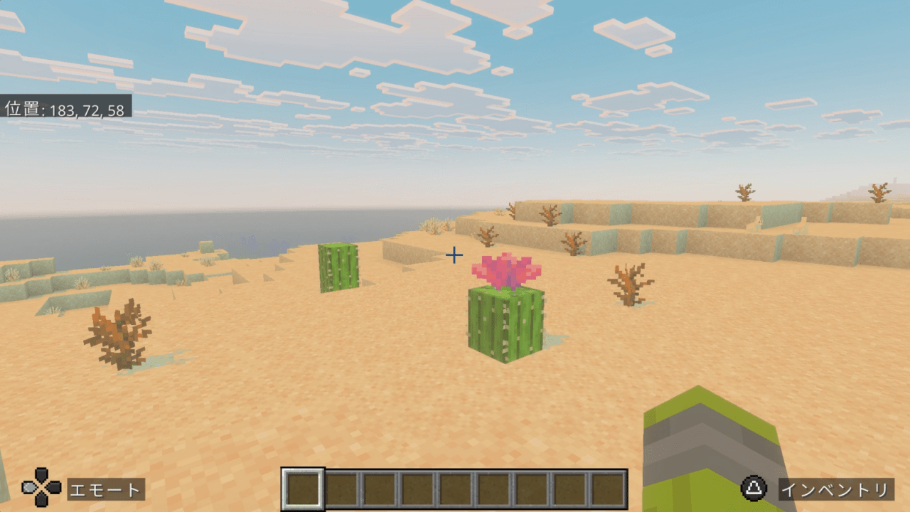 サボテンは痛いけど食べられません!