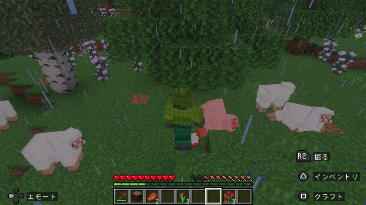 一生懸命羊毛を集める