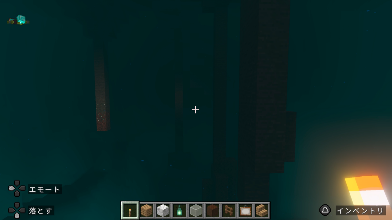 洞窟の下に広がる水面に落ちた！！