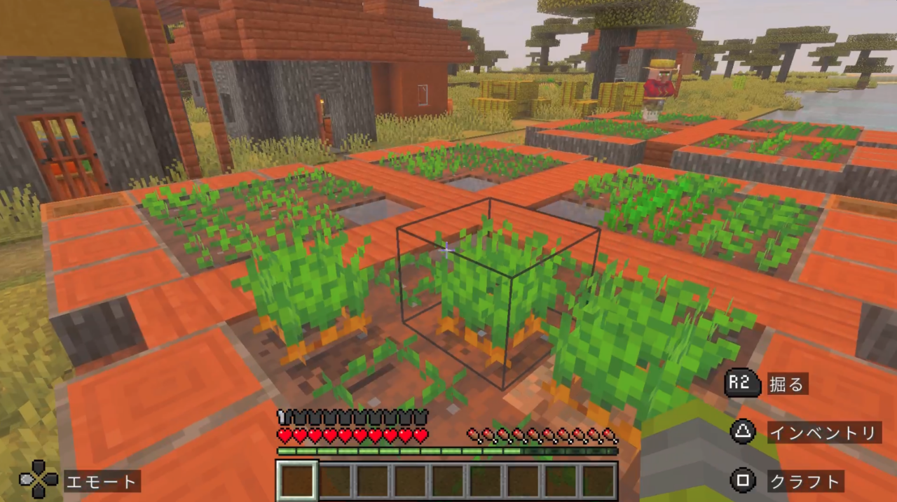 にんじんに手をかける！