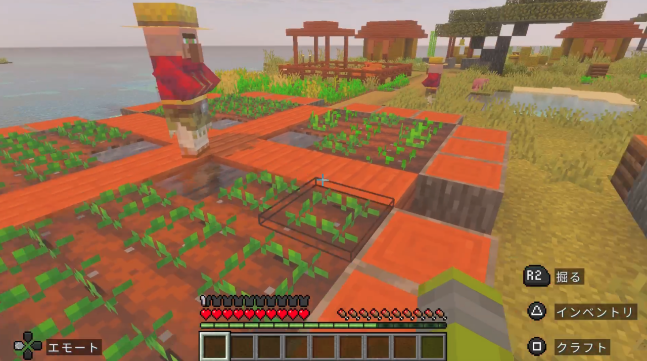 ここにも育ち途中の畑が・・・。